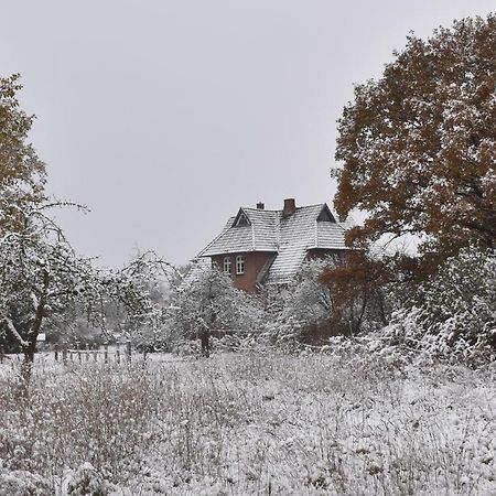 Ferienwohnung Ehemalige Revierfoersterei "Uns Luett" Kuhstorf Bagian luar foto
