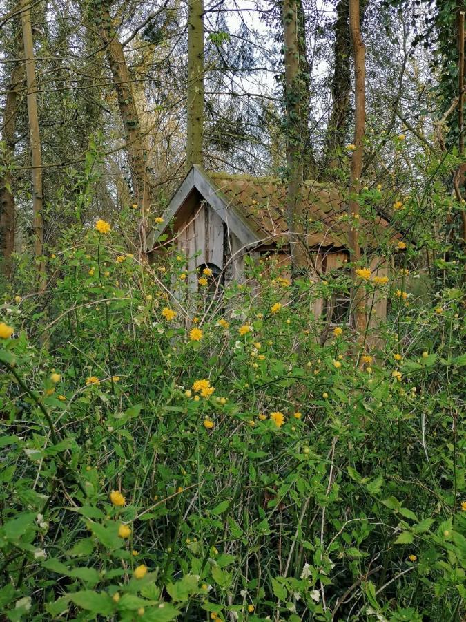 Ferienwohnung Ehemalige Revierfoersterei "Uns Luett" Kuhstorf Bagian luar foto