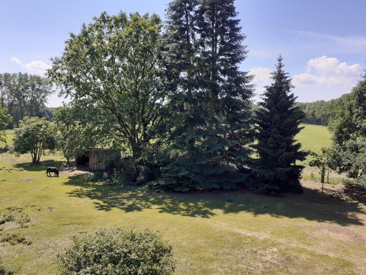 Ferienwohnung Ehemalige Revierfoersterei "Uns Luett" Kuhstorf Bagian luar foto
