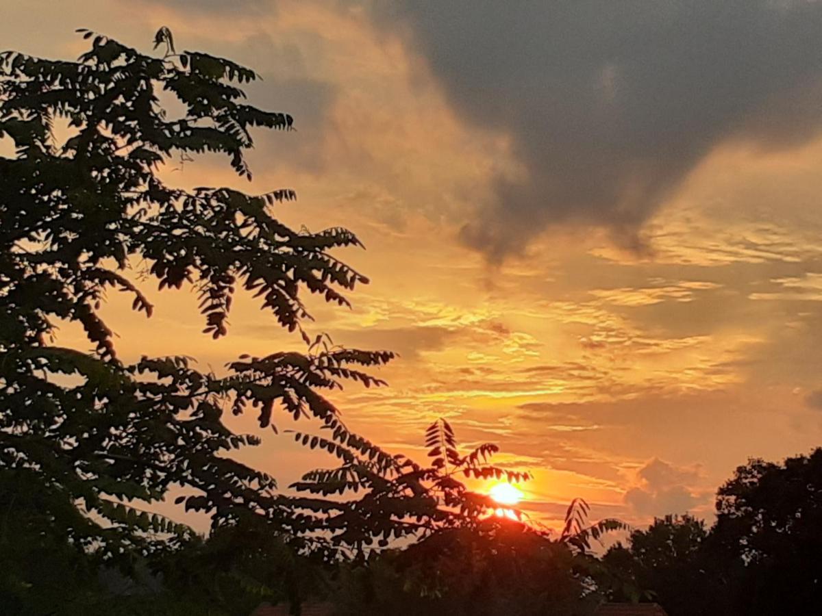 Ferienwohnung Ehemalige Revierfoersterei "Uns Luett" Kuhstorf Bagian luar foto