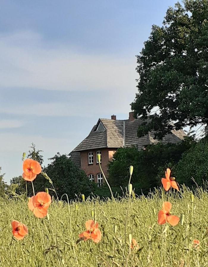 Ferienwohnung Ehemalige Revierfoersterei "Uns Luett" Kuhstorf Bagian luar foto