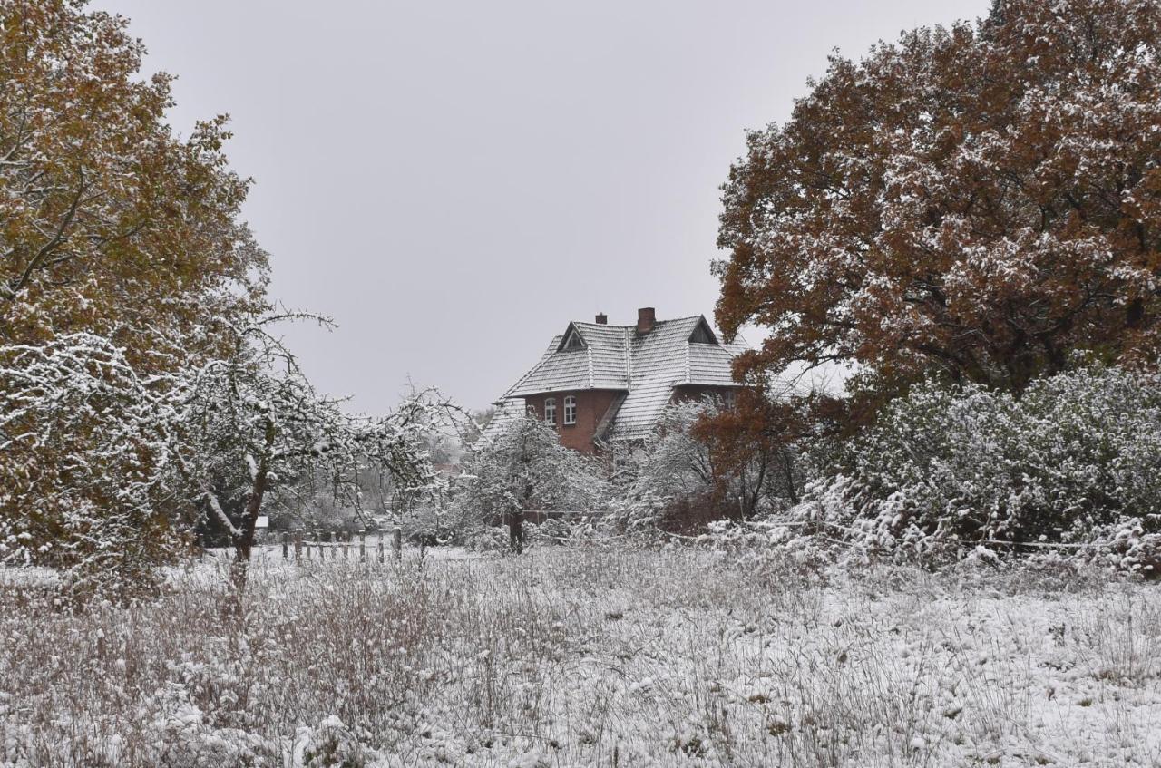 Ferienwohnung Ehemalige Revierfoersterei "Uns Luett" Kuhstorf Bagian luar foto